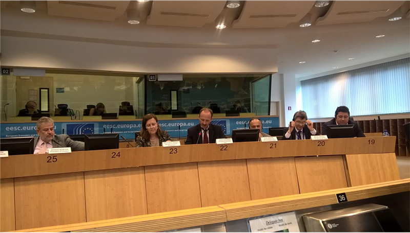 royssos giannis fpa bryxelles 2