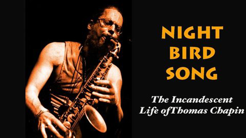 syros jazz festibal night bird song