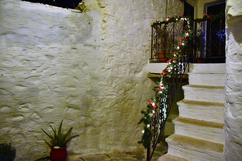 ano proparamoni 2018 12