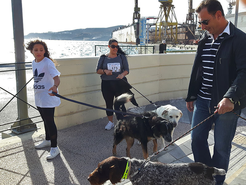 trexo gia adespota 1