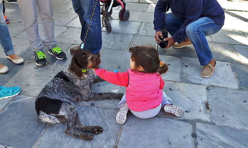 trexo gia adespota 6