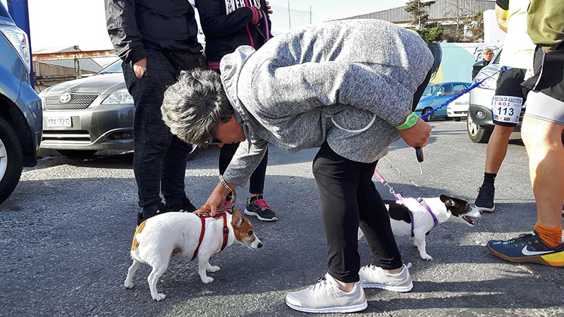 trexo gia adespota 3