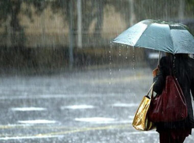 kakokairia broxi kataigida