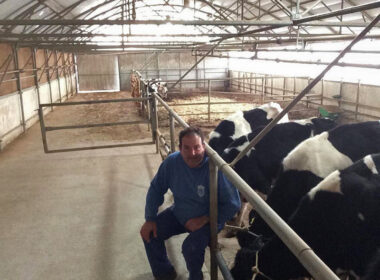 ktinotrofos agelades