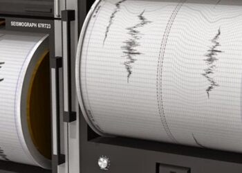 seismostora