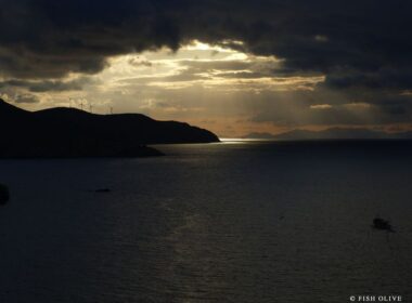 paros anemogenitries