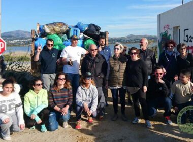 ethelontes alyki skoupidia 8