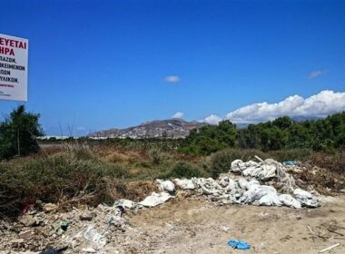 pinakides skoupidia 01