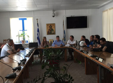 kobaios epaggelmaties synantisi