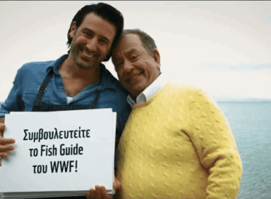 mamalakis eleftheriou prl