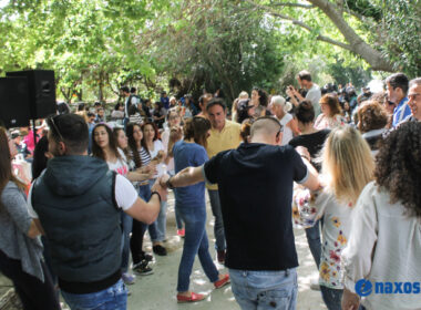 protomagia 2017 melanes 17