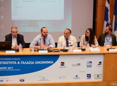 nisiotikotita galazia oikonomia 1