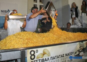 FESTIBAL PATATAS 2017 50