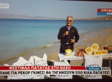 kapounis patata aytias