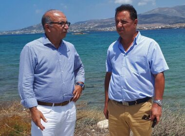 leontaritis faroypos