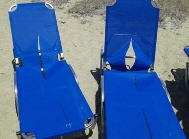 xaplostres doliofthora 4