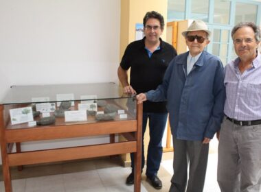 dorea apolithomata dimos 3