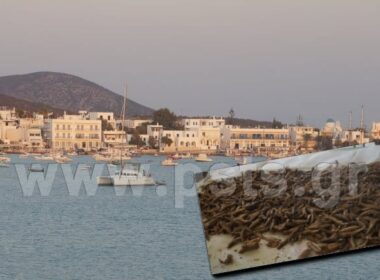 giorti psariou paros