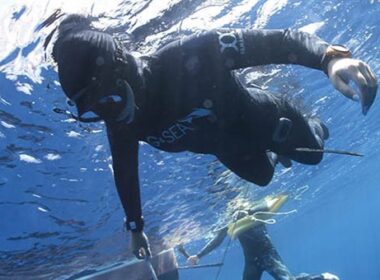 authentic big blue 2017 1