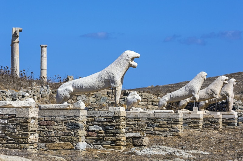 delos the terrace of the lions