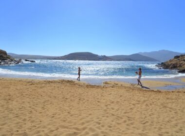 ftelia aralia mykonos