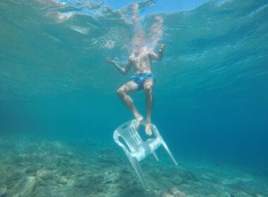 stray art festival 5