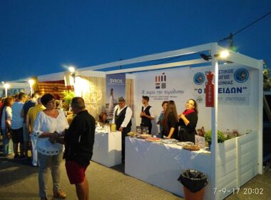 syros tselementes 2017 2