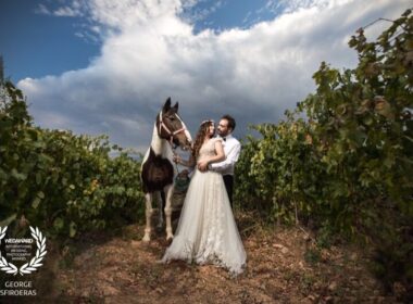 above photogra 4694 1507835605 preview