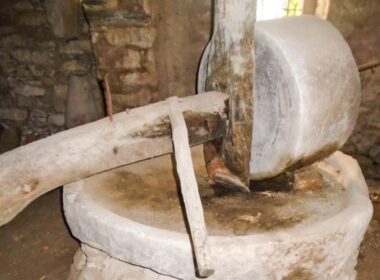 elaiotriveio ramous egkainia 7