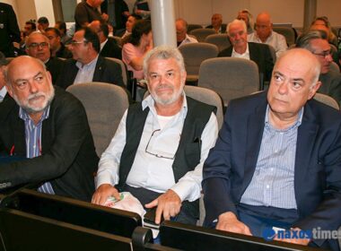 syrmalenios manios syrigos 2