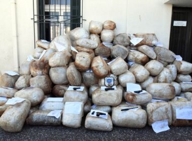 narkotika limeniko 8