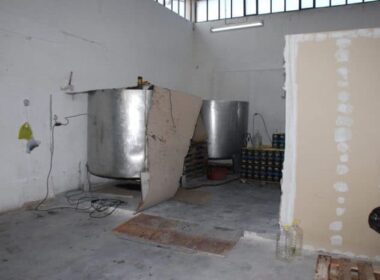 nothevmeno elaiolado