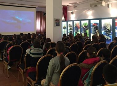 seminario helmepa naxos noembrios 2017