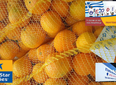 theofilos portokalia noembrios 2017