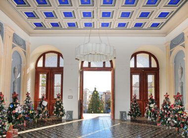 dimarxeio syroy xristoygenniatika dentra