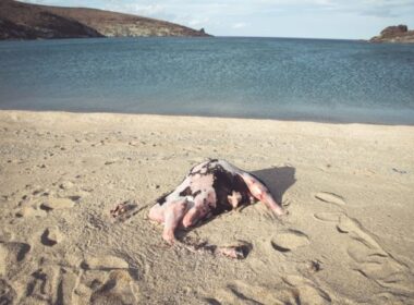 agelada tinos nekri 696x464