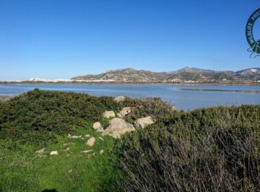 apagoreysi kinigiou alyki naxou 11