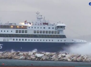 bluestar kathara deytera