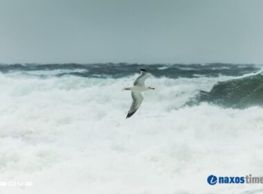 foyrtoyna glaros 1 2