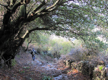 kyklades monopatia naxos