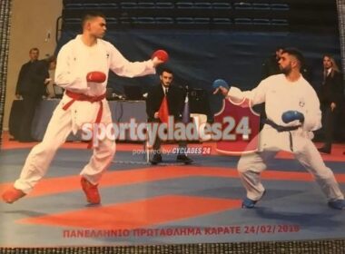 karate vroutsis metalio