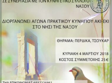 kinofiloi naxos