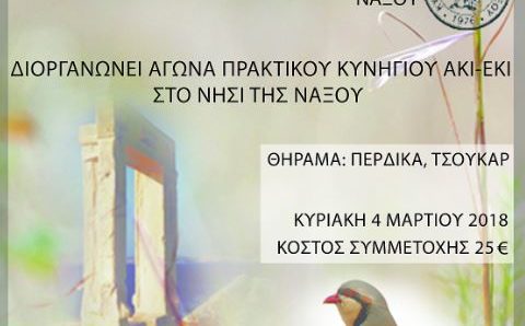 kinofiloi naxos