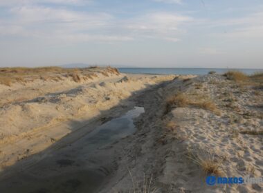 περιβαλλοντική καταστροφή