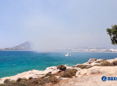 Φωτιά στον Άγιο Προκόπη