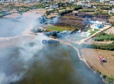 φωτιά στον Άγιο Προκόπη