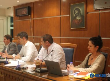 Δημοτικό συμβούλιο Νάξου και Μικρών Κυκλάδων