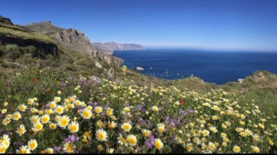 Καιρός: Ιδανικές συνθήκες την Κυριακή του Πάσχα – Πώς θα κάνουμε Ανάσταση