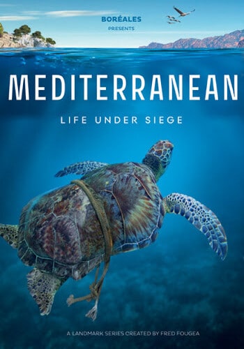 Mediterranean-Life UnderSiege