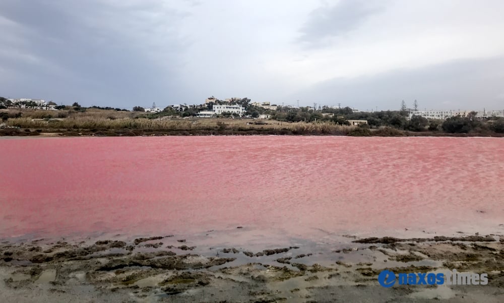 ροζ λίμνη, Άγιος Προκόπιος